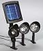 Go Green with Solar Flood Lights