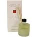 Positano Archipelago Botanicals Excursion Travel Diffuser Boxed set