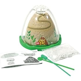 Mini Anthill