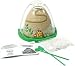 Toys : Mini Anthill