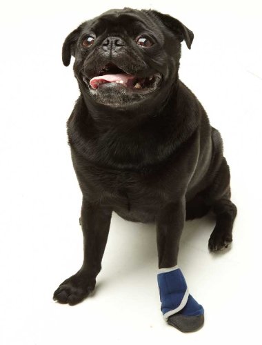 bandages for dogs:Small Medical Dog Bootie
