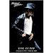 Michael Jackson - King of Pop Birth and Death - 11 x 17 Poster