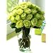 Two Dozen Chartreuse Roses