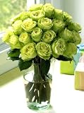 Two Dozen Chartreuse Roses