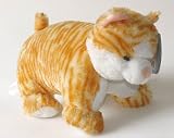 ' Hi! My Name is Tabby' Cat 14