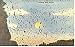 Bat Flight Carlsbad Caverns Nm Postcard