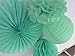 SUNBEAUTY Mint Series Mint Green Tissue Paper Pompom Paper Fan Mint Honeycomb Ball and Mint Green Paper Lanterns Pack of 4