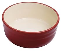 Rick Bayless Salsa Bowl, Salsa Jicama