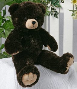 41OC5dUIWBL Brown Bear 15  Make Your Own *NO SEW* Stuffed Animal Kit