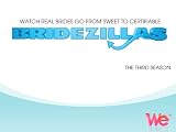 play video on Amazon Instant Video