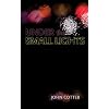 Under the Small Lights (Miami University Press Fiction)