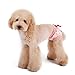 PanDaDa Puppy Pet Dog Flower Sanitary Panty Pant Lace Diaper Underwear Pink X-Small