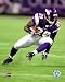 Chester Taylor - Minnesota Vikings NFL 8x10 Photo