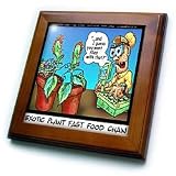 Venus Fly Traps and Fast Food Place - 8x8 Framed Tile