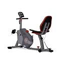 Ignite 2710 Recumbent Exercise Bike