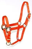 Hamilton 3/4 Inch Nylon Adjustable Horse Halter, Foal 100 to 200 lbs, Mango Orange