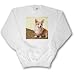 Dogs Corgi - Pembroke Welsh Corgi - Sweatshirts