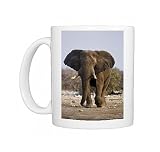 African Elephant - big adult walking straight towards the camera in late Photo Mugs