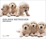 2009 Golden Retrievers Artlist Deluxe Wall Calendar 2009 Golden Retrievers Artlist Deluxe Wall Calendar