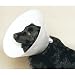 Buster Disposable Collar - 10 cm