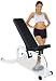 Deltech Fitness Flat / Incline Dumbbell Bench