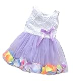【SEBLES】ベビー服 女の子 女子 ワンピース ドレス レース シフォン オーガンジー スカート ノースリーブ 春 夏 ふんわり スカート 0歳 1歳 2歳(パープル,100cm)