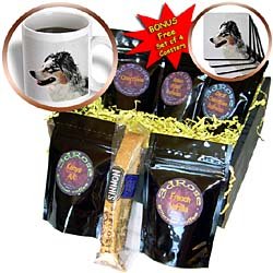 Dogs Australian Shephard - Australian Shephard - Coffee Gift Baskets - Coffee Gift Basket by 3dRose LLC