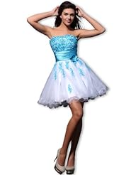 Short Fitted Applique Tulle Homecoming Dress/Mini Dress 