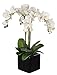 House of Silk Flowers Artificial Triple-Stem Phalaenopsis Orchid Arrangement, White/Yellow