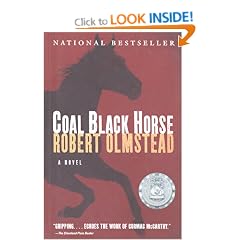 Coal Black Horse