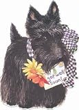 Get Well Greeting Card - Get Well Scottish Terrier Dog Carol Wilson