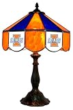 Illinois Fighting Illini Glass Table Lamp 14