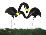 Garden Plast Black Flamingos, 2-Pack