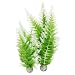 Kitchen & Housewares : biOrb Winter Fern Medium Plant - 2 Pack