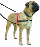 The Company Of Animals Halti Harness - Black & Red - Large