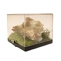 Barite Mineral 01 White Feathery Crystal Cluster Green Moss Box Specimen