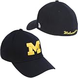 New Era Michigan Wolverines 39Thirty Hat