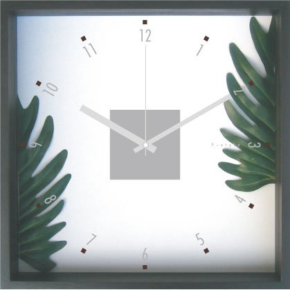F-Style Clock　（精密な人工観葉植物・時計）Philodendron cv.Kookaburra クッカバラ 