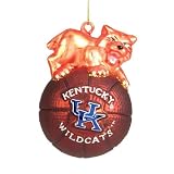 Kentucky Wildcats NCAA Glass Mascot Basketball Ornament (5)