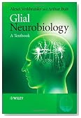 Glial Neurobiology