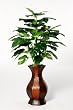 Artificial Pothos Floor Plant Rattan