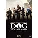 Dog the Bounty Hunter: Taking It to the Streets