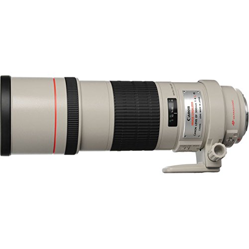 Canon EF 300mm f/4L IS USM Telephoto Fixed Lens for Canon SLR