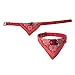 2-TECH Hunde Katzen Halsband mit Tuch 29-39 cm, Rot