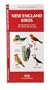 New England Birds: An Introduction to Familiar Species (Regional Nature Guides)
