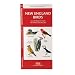 New England Birds: An Introduction to Familiar Species (Regional Nature Guides)