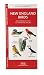 New England Birds: An Introduction to Familiar Species (Regional Nature Guides)