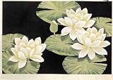 41OFev8ZJjL. SL160  White Lotus by Bali Island Design. Size 32.00 X 21.00 Art Poster Print on Canvas