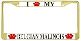 I Love My Belgian Malinois Paw Prints Dog Gold Metal License Plate Frame Holder