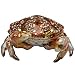 Jay Strongwater Small Crab Box